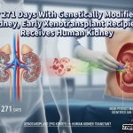 After 271 Days With Genetically Modified Pig Kidney, Early Xenotransplant Recipient Receives Human Kidney