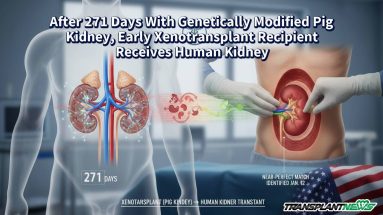 After 271 Days With Genetically Modified Pig Kidney, Early Xenotransplant Recipient Receives Human Kidney