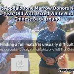 Urgent Appeal: Bone Marrow Donors Needed For 2-Year-Old With Mixed White And Thai Chinese Background