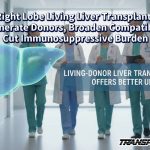Right Lobe Living Liver Transplants Regenerate Donors, Broaden Compatibility, Cut Immunosuppressive Burden