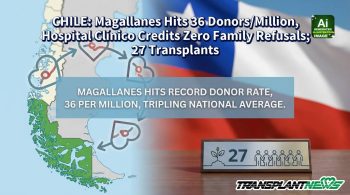 CHILE: Magallanes Hits 36 Donors/Million, Hospital Clínico Credits Zero Family Refusals; 27 Transplants