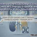 Penn Phase One Study Shows CD19 And BCMA CAR T Therapy Enables Kidney Transplants For Highly Sensitized Patients