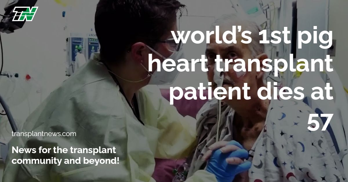 World’s 1st Pig Heart Transplant Patient Dies at 57