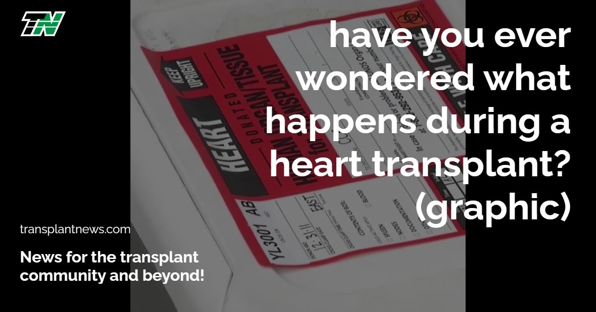 Have You Ever Wondered What Happens During a Heart Transplant? (Graphic)