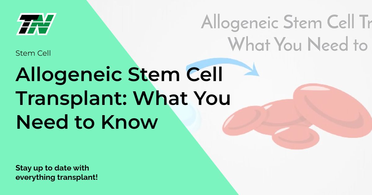 Allogeneic Stem Cell Transplant: What You Need to Know