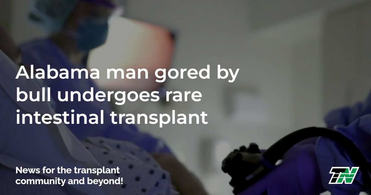 Alabama man gored by bull undergoes rare intestinal transplant
