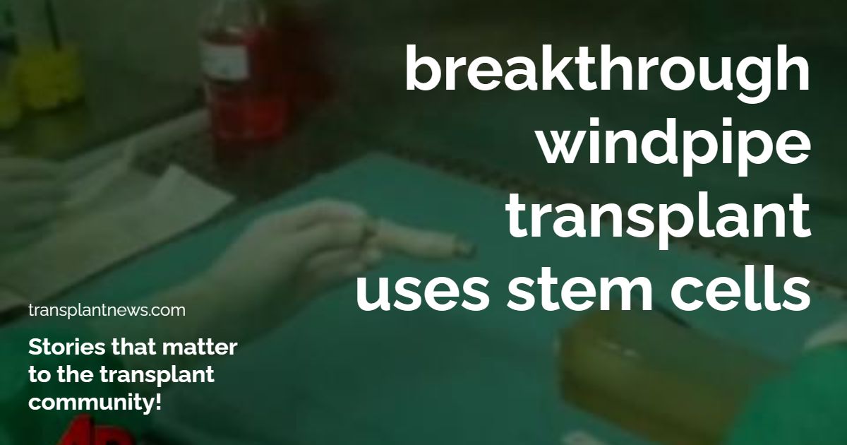 Breakthrough Windpipe Transplant Uses Stem Cells