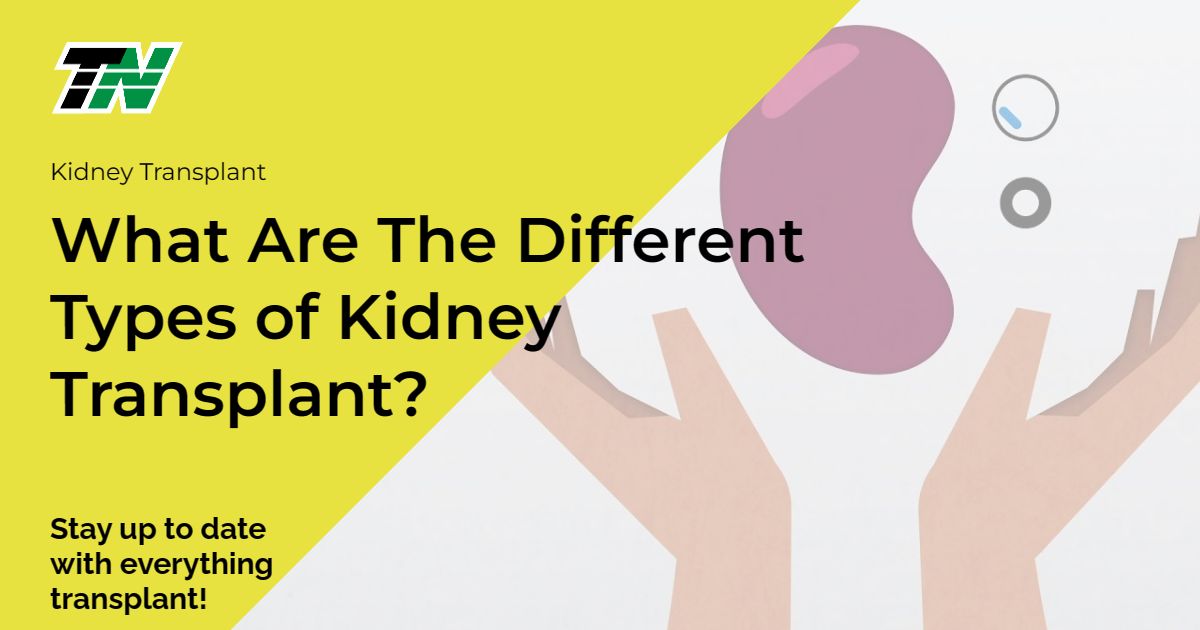 What Are The Different Types of Kidney Transplant?