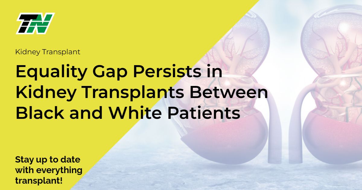 Equality Gap Persists in Kidney Transplants Between Black and White Patients