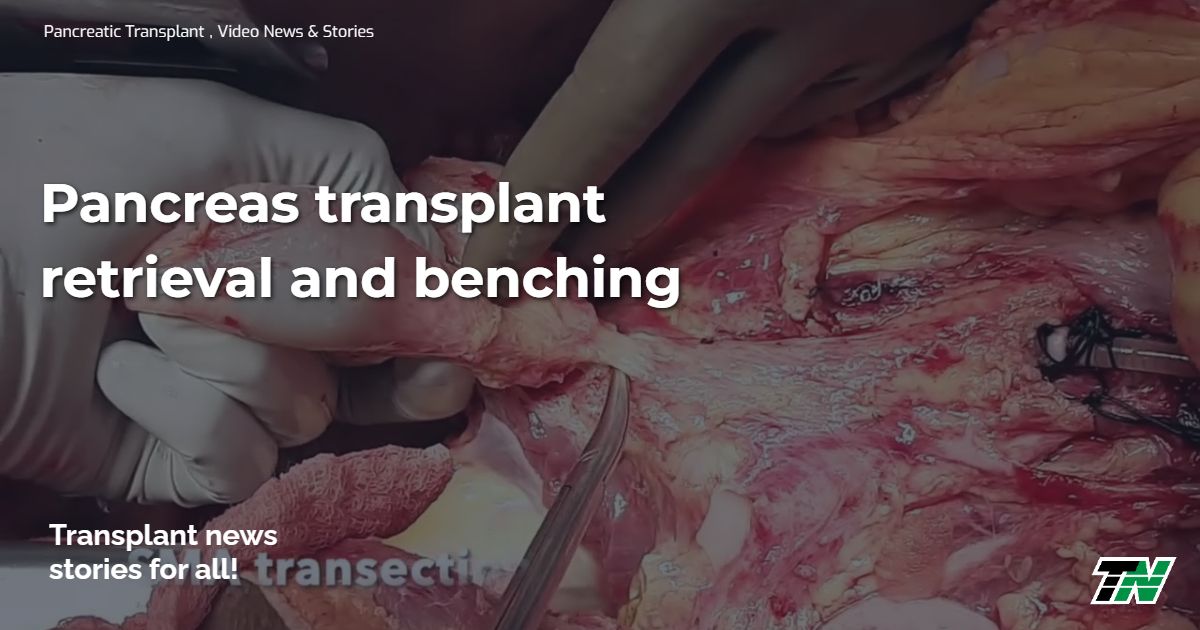 Pancreas transplant retrieval and benching