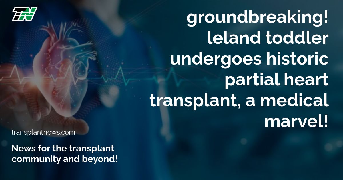 Groundbreaking! Leland toddler undergoes historic partial heart transplant, a medical marvel!
