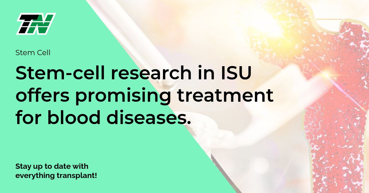 Stem-cell research in ISU offers promising treatment for blood diseases.