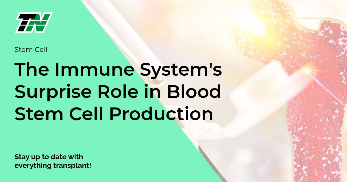 The Immune System’s Surprise Role in Blood Stem Cell Production
