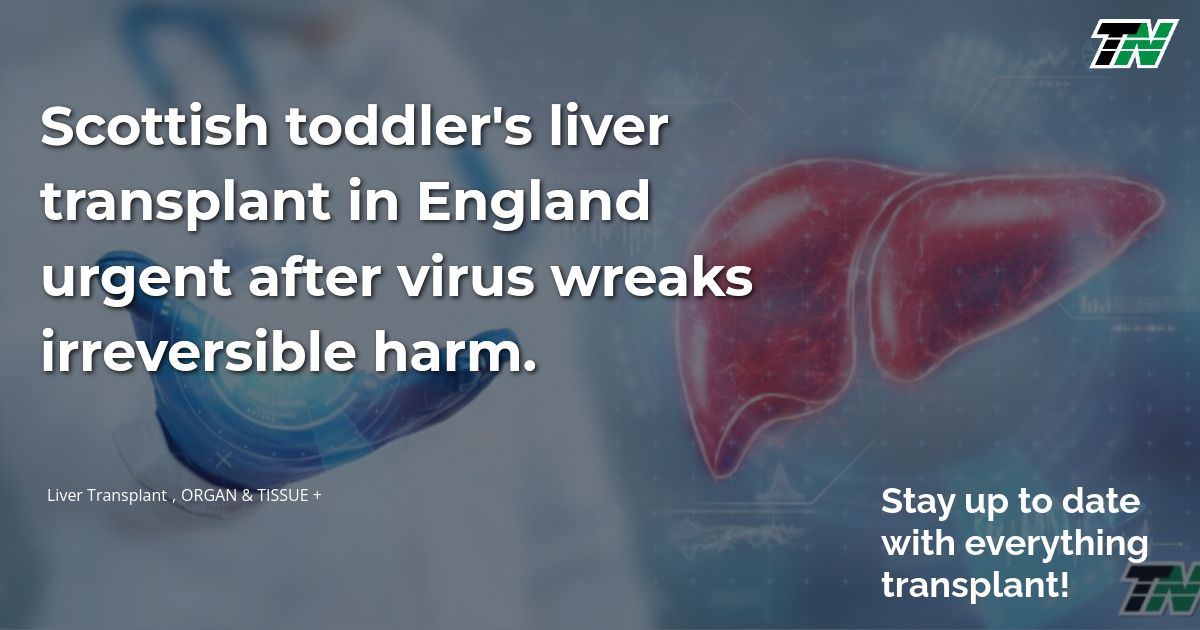 Scottish toddler’s liver transplant in England urgent after virus wreaks irreversible harm.