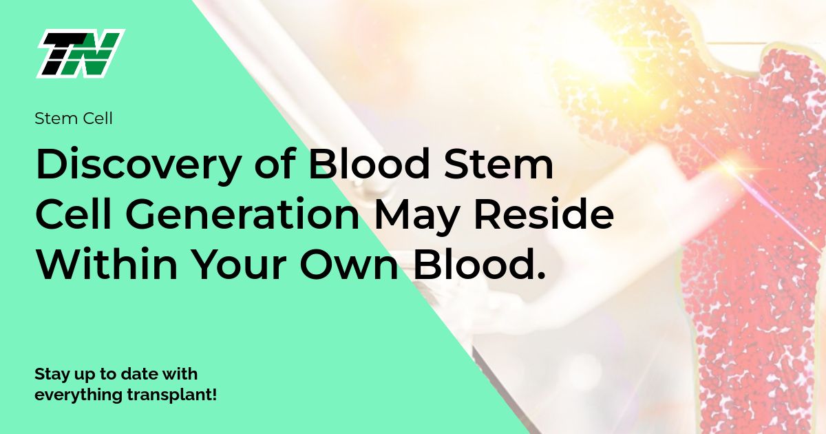 Discovery of Blood Stem Cell Generation May Reside Within Your Own Blood.