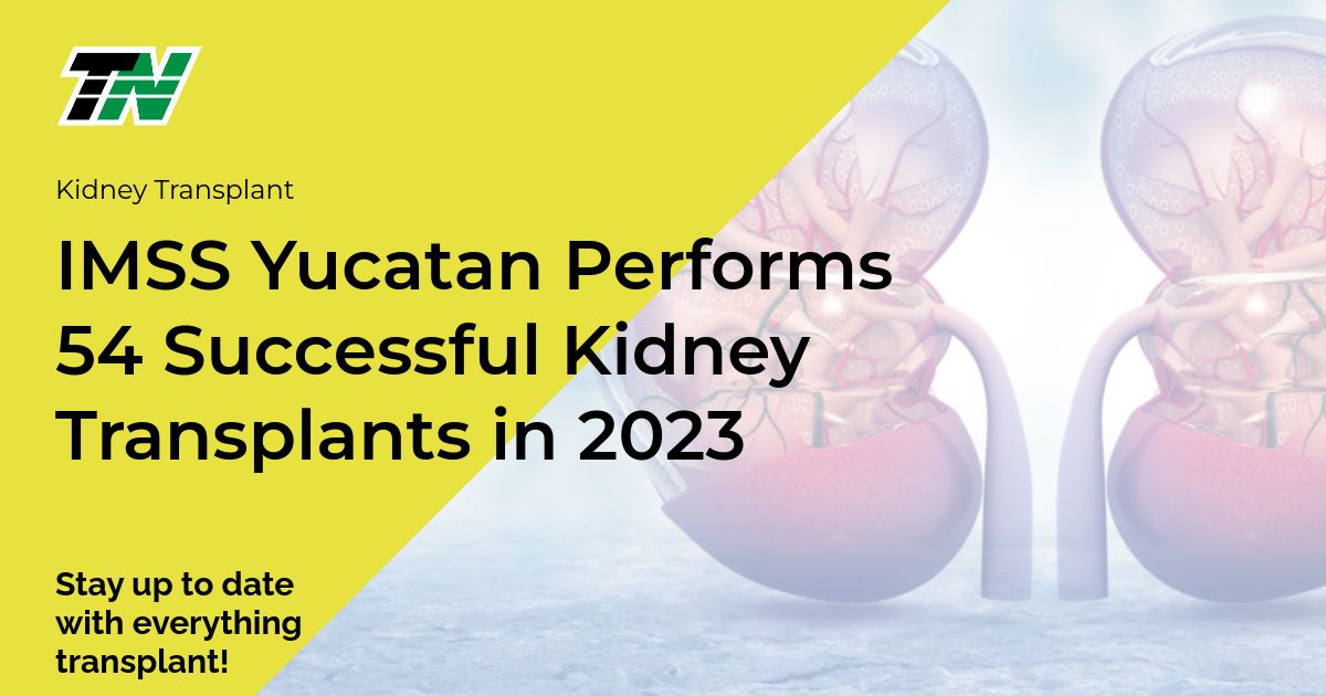 IMSS Yucatan Performs 54 Successful Kidney Transplants in 2023