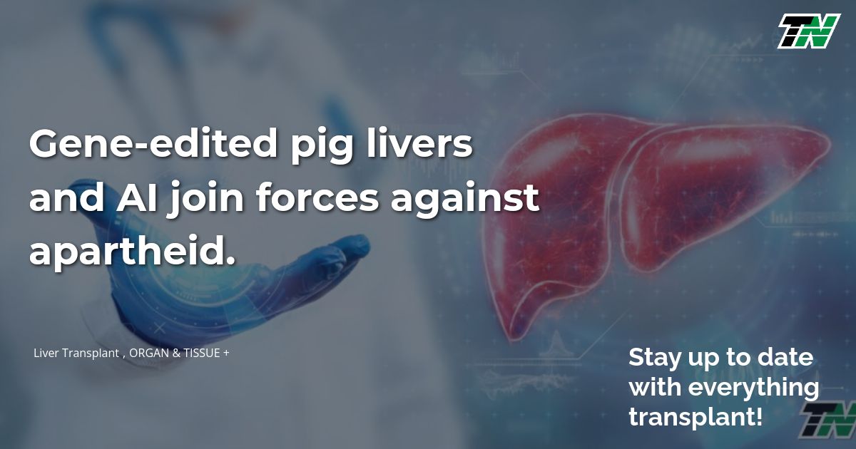 Gene-edited pig livers and AI join forces against apartheid.