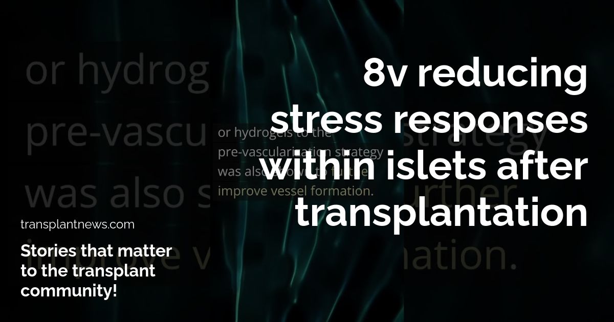 8v Reducing stress responses within islets after transplantation