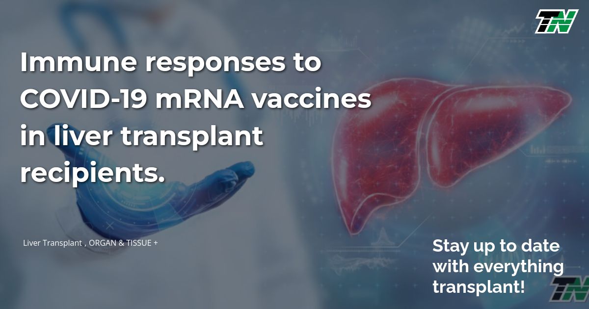 Immune responses to COVID-19 mRNA vaccines in liver transplant recipients.