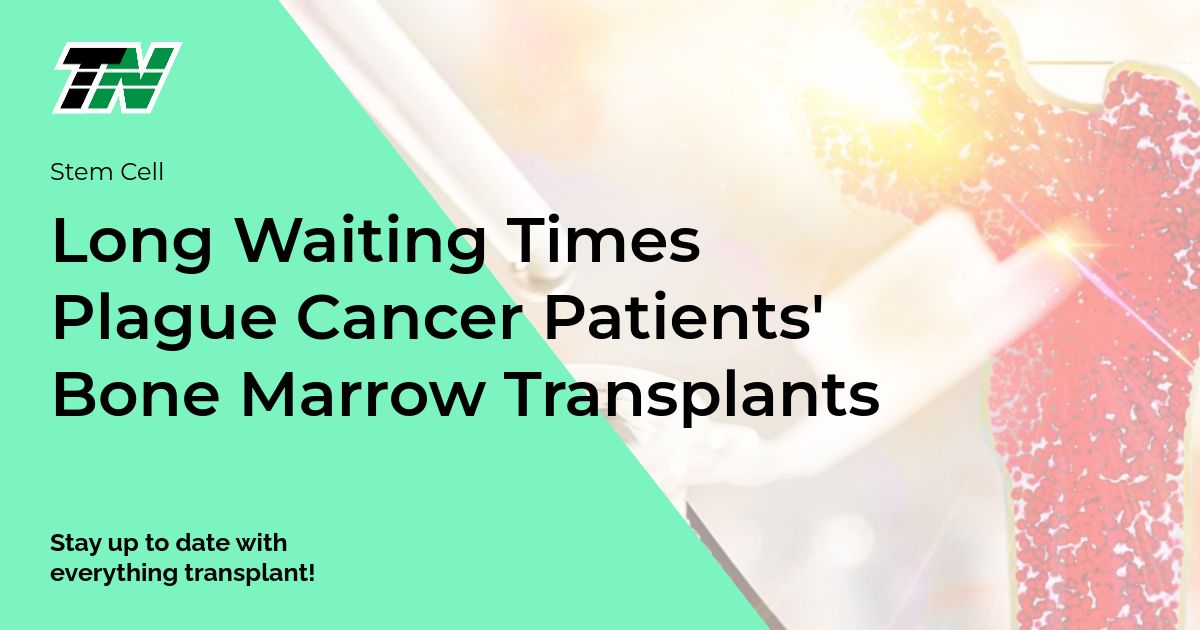 Long Waiting Times Plague Cancer Patients’ Bone Marrow Transplants