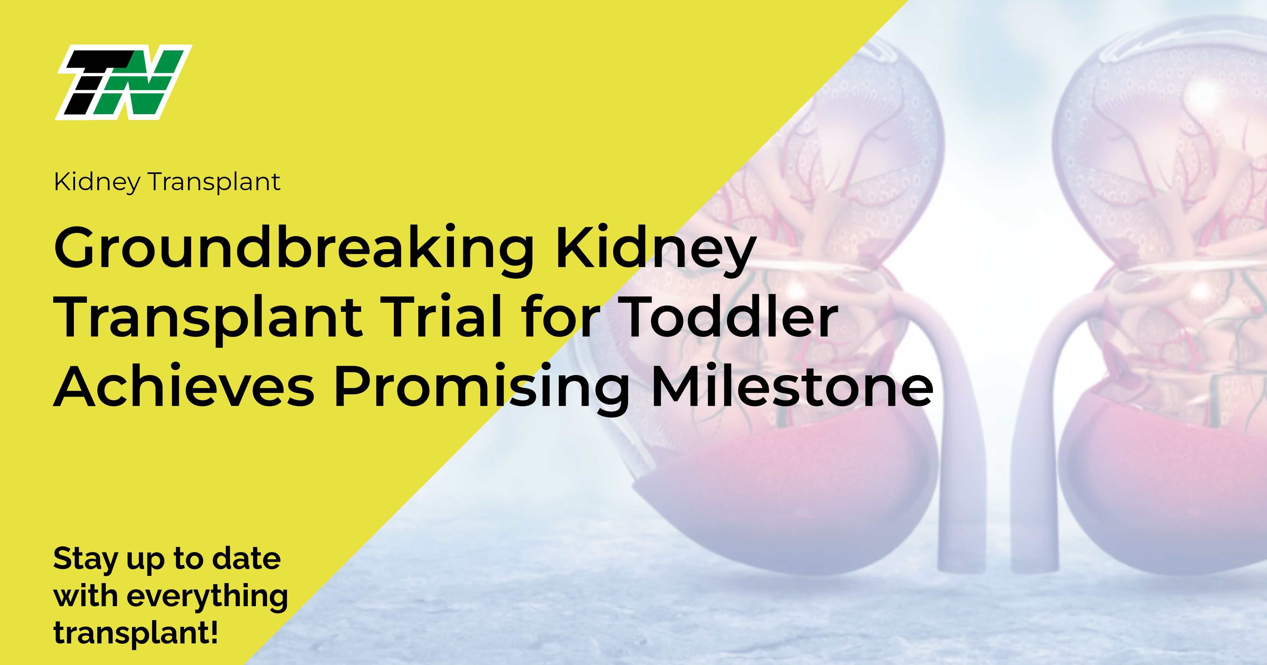 Groundbreaking Kidney Transplant Trial For Toddler Achieves Promising Milestone