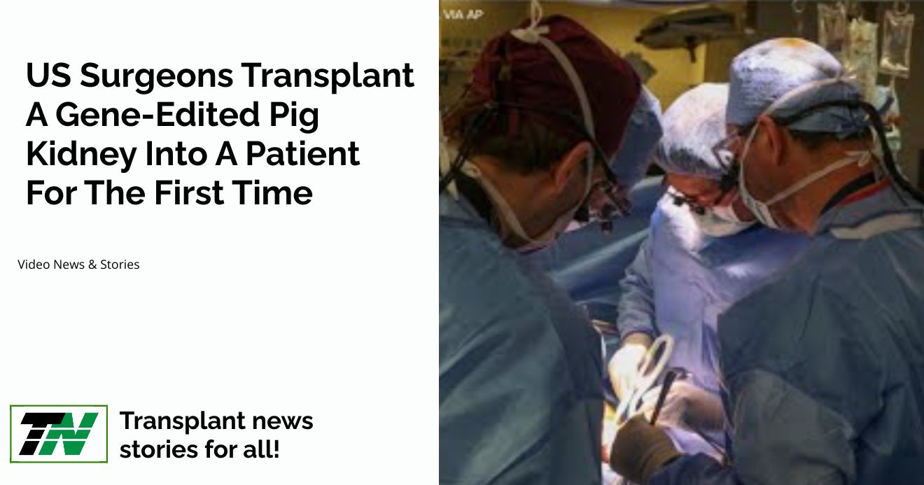 US surgeons transplant a gene-edited pig kidney into a patient for the first time