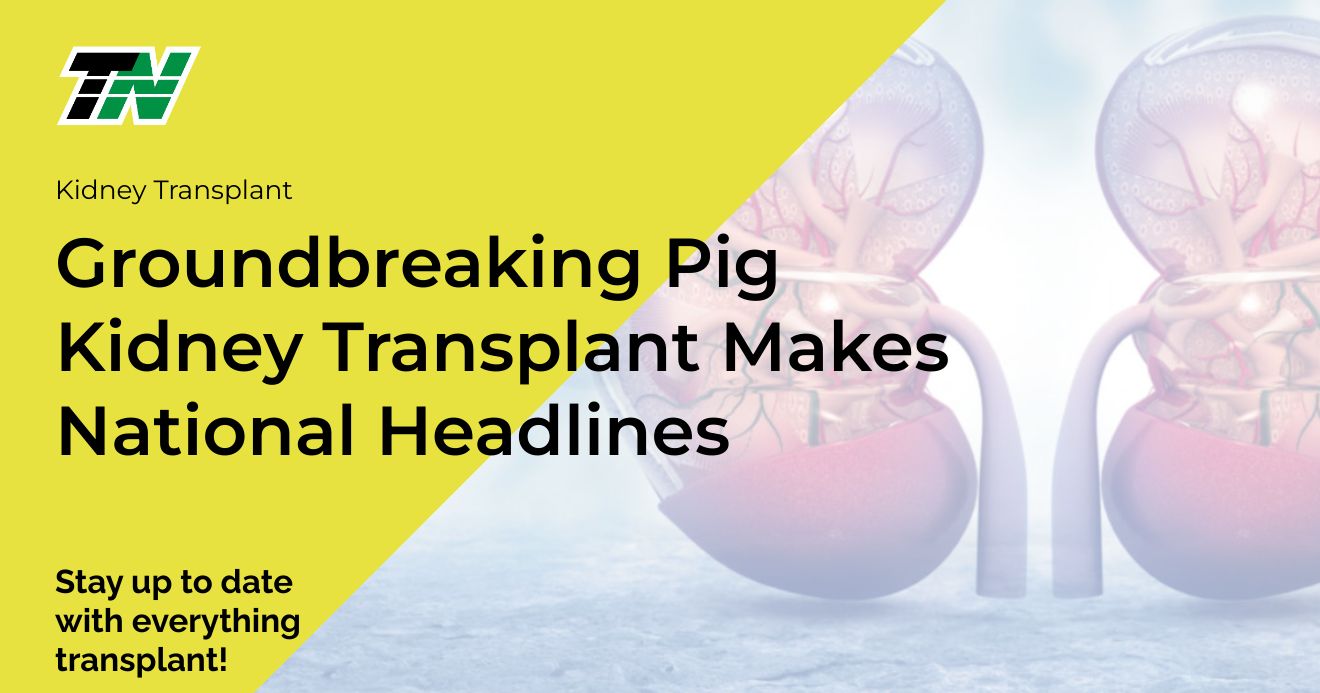 Groundbreaking Pig Kidney Transplant Makes National Headlines