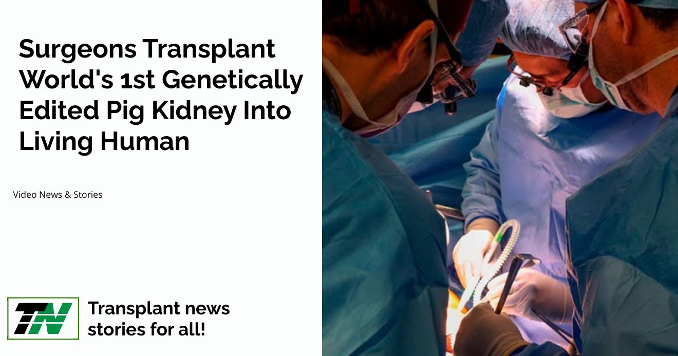 Surgeons transplant world’s 1st genetically edited pig kidney into living human