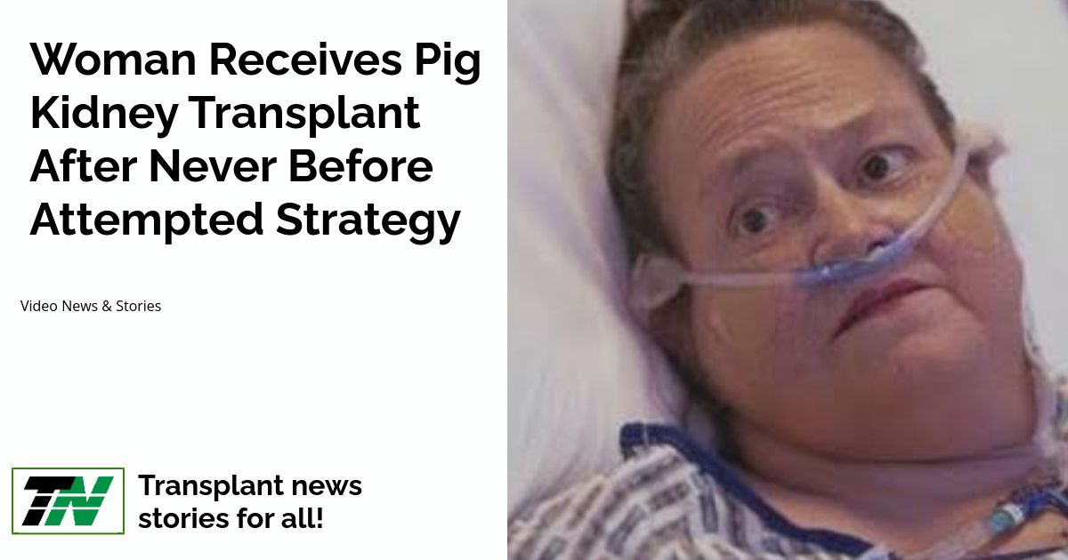 Woman Receives Pig Kidney Transplant After Never Before Attempted Strategy