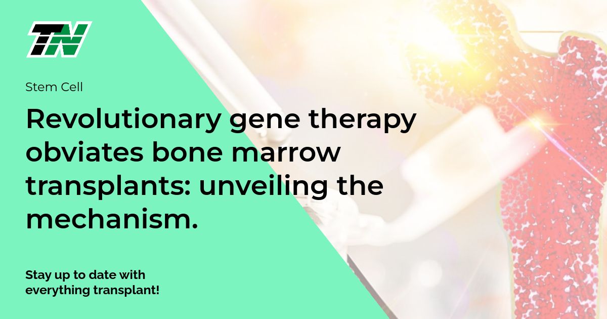 Revolutionary Gene Therapy Obviates Bone Marrow Transplants: Unveiling The Mechanism.