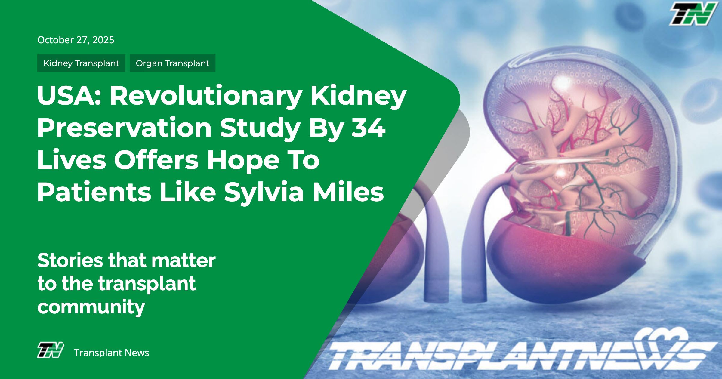 USA: Revolutionary Kidney Preservation Study by 34 Lives Offers Hope to Patients Like Sylvia Miles