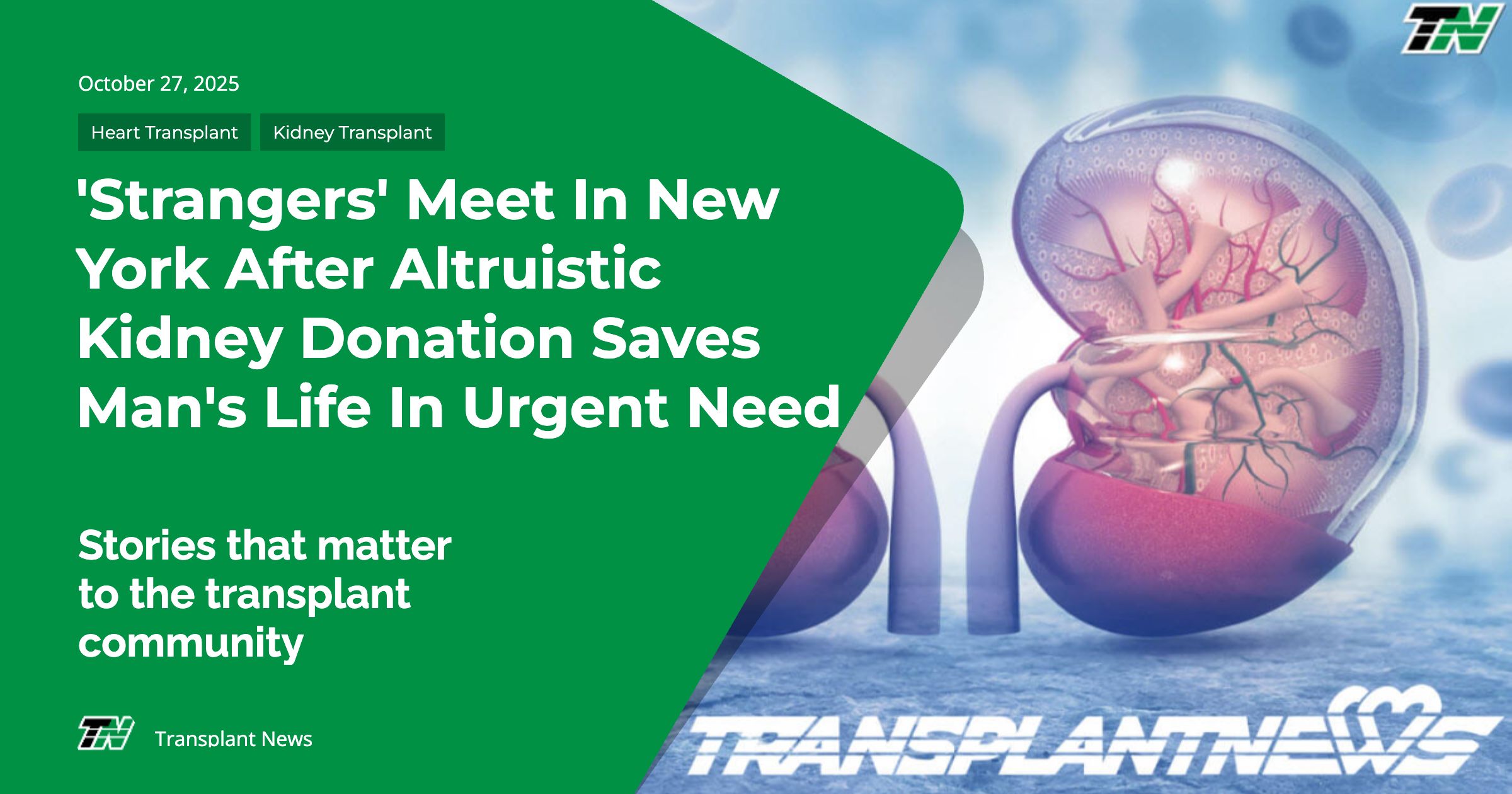 ‘Strangers’ Meet in New York After Altruistic Kidney Donation Saves Man’s Life In Urgent Need