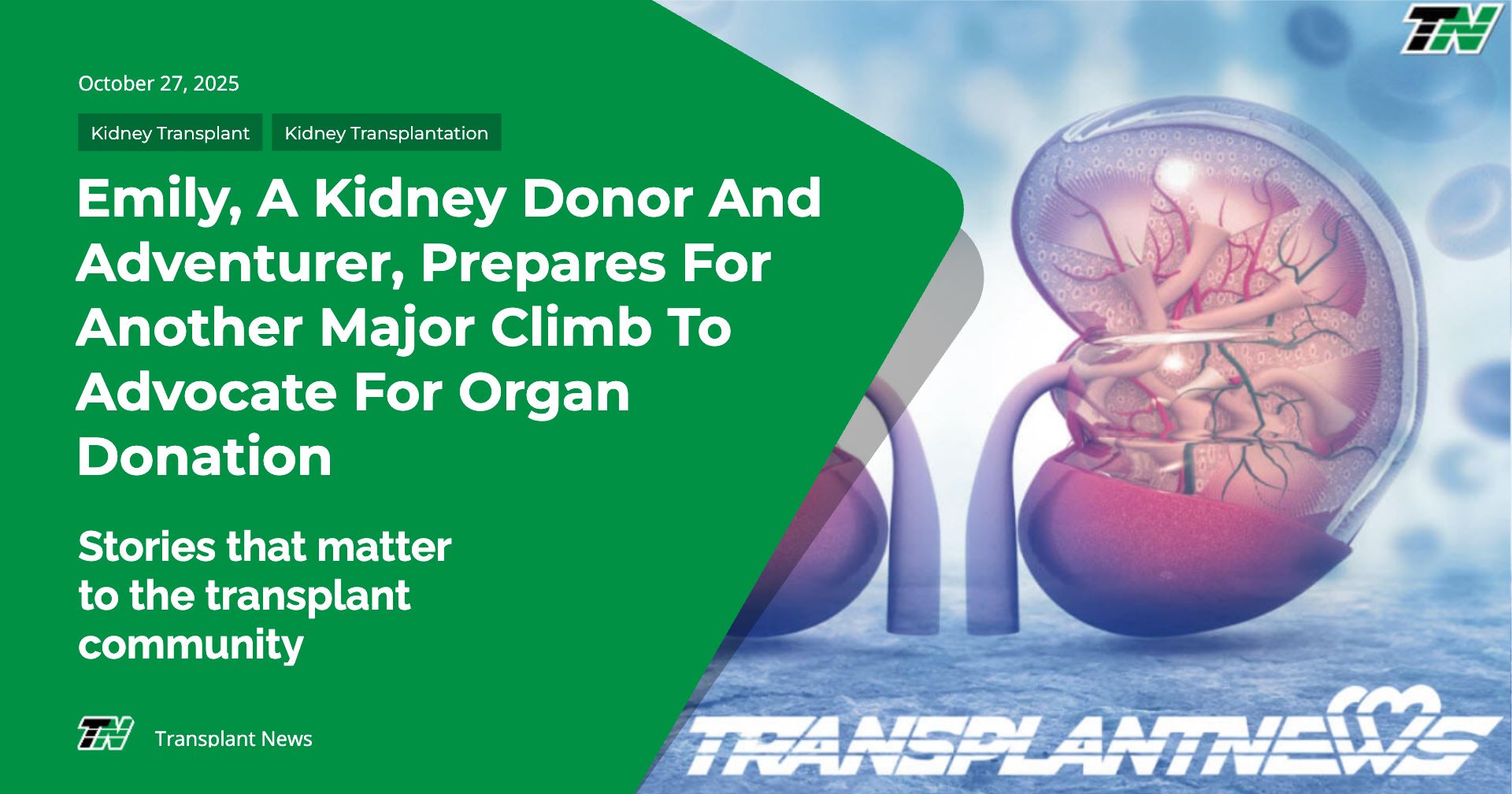 Emily, A Kidney Donor And Adventurer, Prepares For Another Major Climb To Advocate For Organ Donation