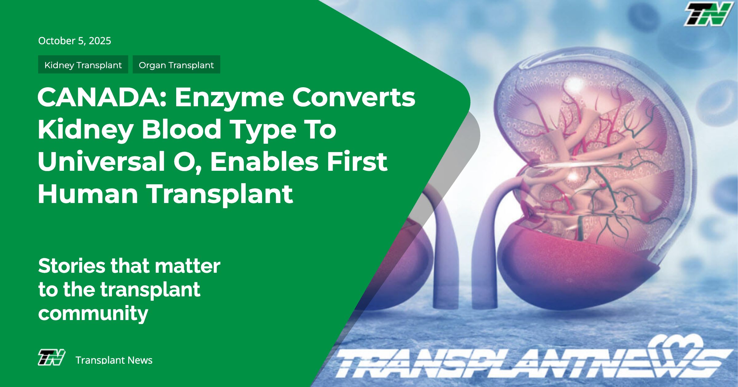 CANADA: Enzyme Converts Kidney Blood Type To Universal O, Enables First Human Transplant