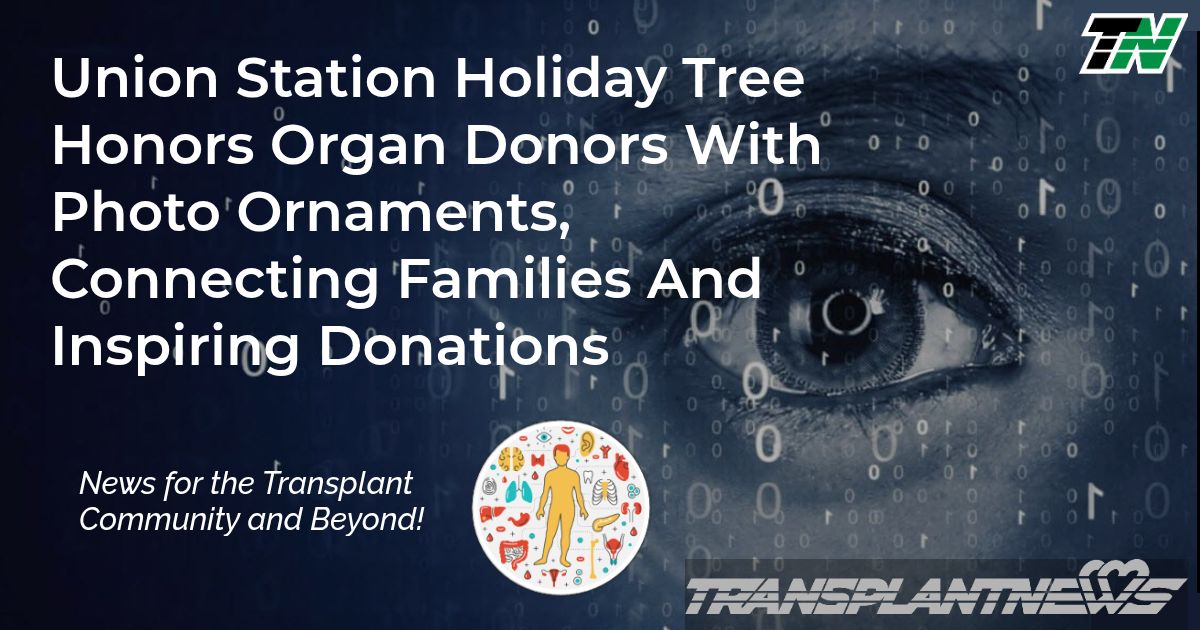 Union Station Holiday Tree Honors Organ Donors With Photo Ornaments, Connecting Families And Inspiring Donations