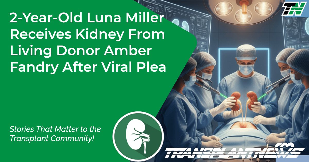 2-Year-Old Luna Miller Receives Kidney From Living Donor Amber Fandry After Viral Plea